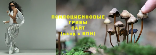 МДПВ Покачи