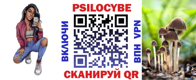 Псилоцибиновые грибы Psilocybe  Яхрома 
